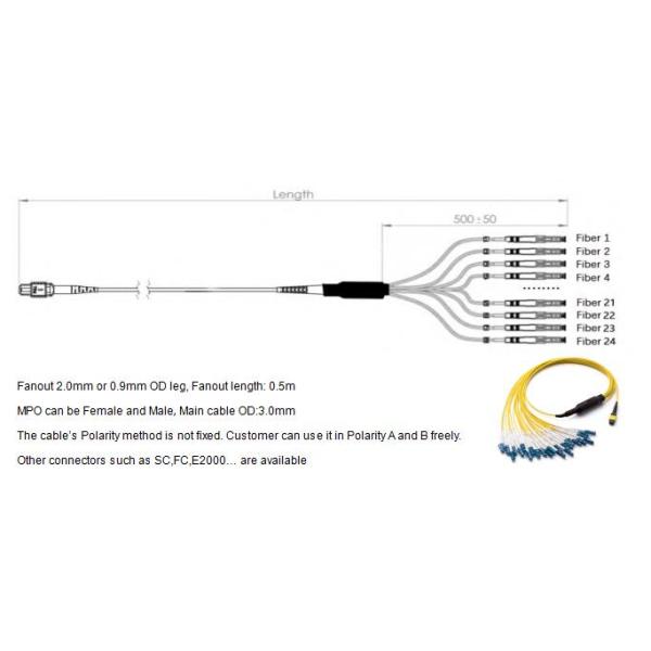 24 Fibras MPO a LC Fibra óptica monomodo MPO-LC Cables de arnés recto de 2,0 mm