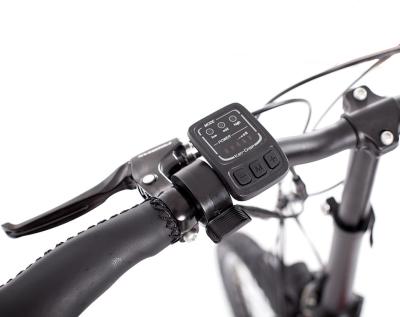 Good quality folding electric assist bike 20 Alu 6061 Rear Drive Motor,36V250W  36V7.8AH 25KM/H