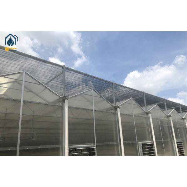 Double Wall Polycarbonate Greenhouse Corrosion Resistant Steel Framed Greenhouse