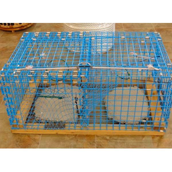 HDG 1x1 Inch Welded Metal Wire Mesh 12 Gauge 150 ft Length For Lobster Cage