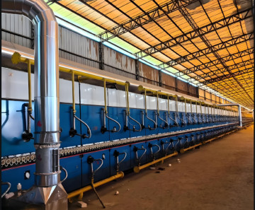 Modern Roller Kiln Solutions for Red Brick Firing: Multi-Layer Design, Fast Cooling Zones & Ideal for Thin-Walled Bricks