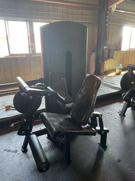 Commercial Gym Equipment Pin Loaded 2 in 1 Adjustable Seated Leg Extension Leg Curl Machine