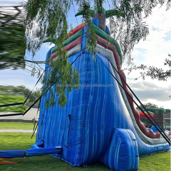 Extended Double Slide Red Thrilling Inflatable Combo Jumping Castle for Aquatic Park