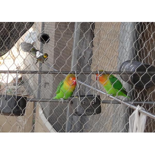 Red de aviario ligera de alambre de plata con apertura de 30 mm x 30 mm