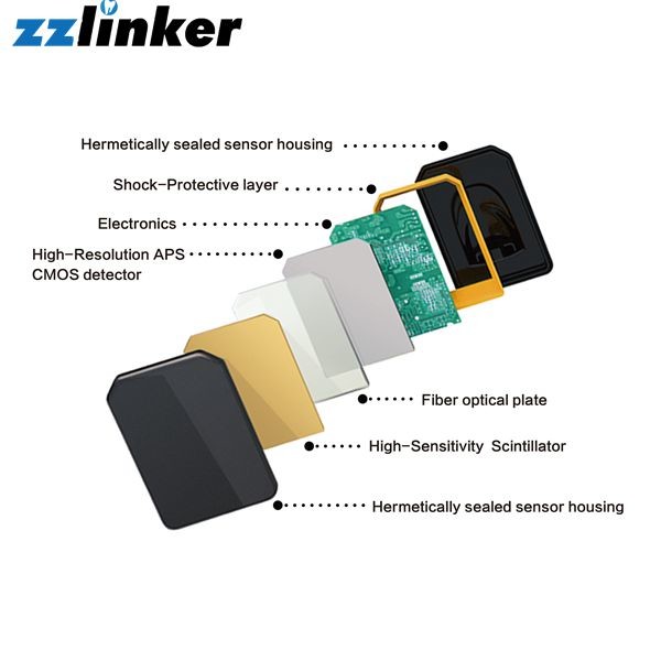 IPX7 32.3*44.3mm LK-C65B 18.5um RVG Dental X Ray Sensor