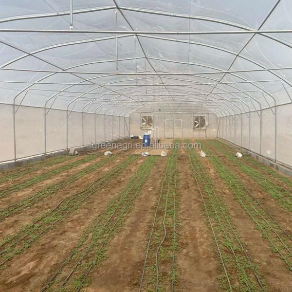 IGreen Small Single Layer Agricultural Greenhouse with Film Cover for Middle East & Gulf Countries and Desert Climate