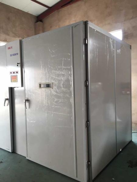 Incubadora da única fase do de alta capacidade com o Hatcher para ovos de codorniz 30000 3.8kw