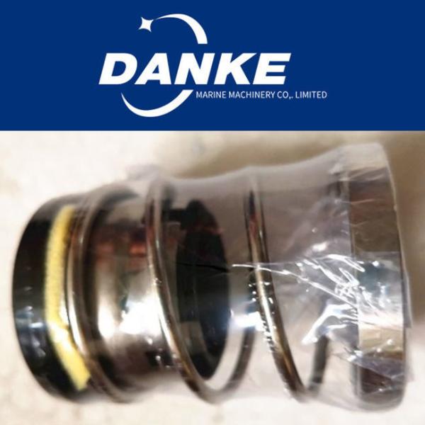 Hyundai 5l23/30 31701-01h1-0870 Mechanical Seal Marine Auxiliary Engine Parts