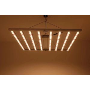 800W Full Spectrum LED Grow Light with IP65 Waterproof for Commercial Plant Growth