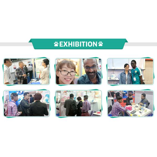 На заказ черный кукурузный крахмал полностью компостируемый одноразовый биоразлагаемый пакет для собак