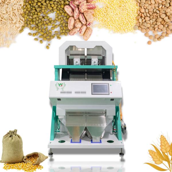 Wenyao 2 Chutes Walnut Color Sorter Machine Size Shape Sorting With CE Certificate