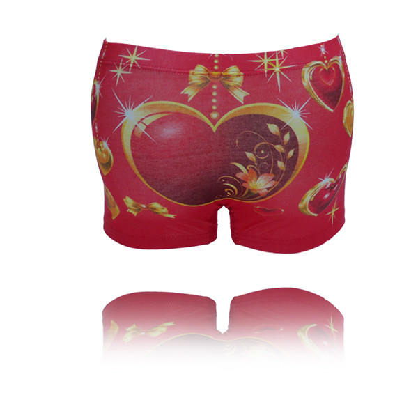 Men's underwear boxers Cotton Cueca Sexy men Boxer Shorts Men Underpants men's underwear b
