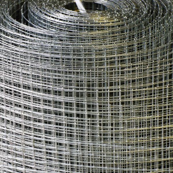 Bird Cage Welded Wire Mesh Panel Galvanized 1''×1'' 3/4''×3/4''Opening Size For Fence