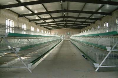 High Strength Hot Dip Galvanized Steel Structure Livestock Barn Farm Shed