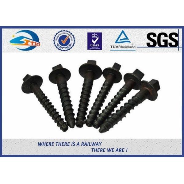 Ss series sleeper screw,Railroad spike or track spike Screw spike in the track