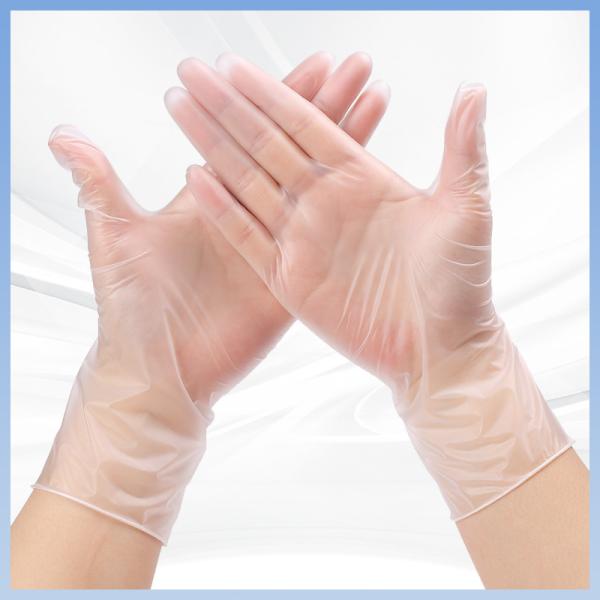OEM Transparent Disposable PVC Gloves Protective Disposable Exam Gloves