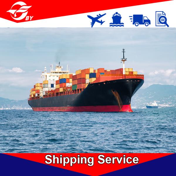 Ocean Freight Delivery Service DDP Ningbo To Philadelphia Atlanta Savannah