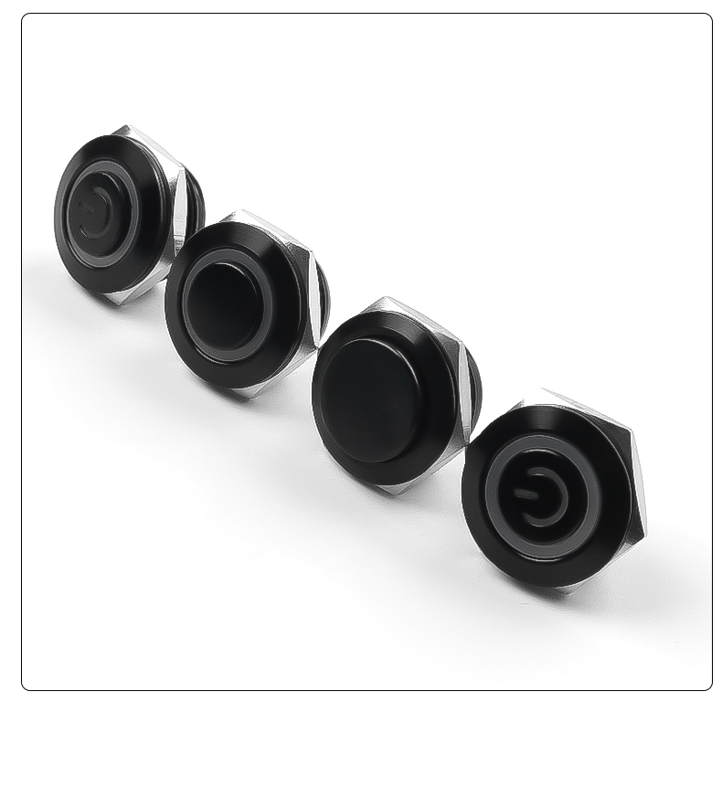 High Quality 19MM Oxidized Black  Metal Push Button Switch Self-Return 1NO with LED Momentary Reset