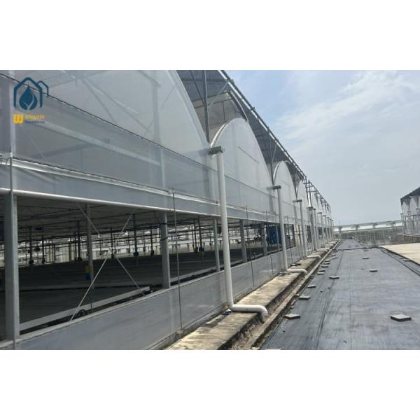 UV Resistant Organic Greenhouses Multi Span Organic Farm Greenhouse With Water Saving Solutions
