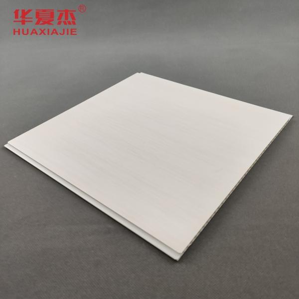 anticorrosif imperméable antiseptique de panneaux de mur de PVC de 250mm x de 5mm