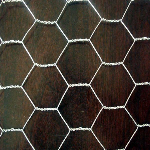 HDG Plaster Reinforcement Mesh 0.9mm Diameter Plastering Chicken Wire Mesh