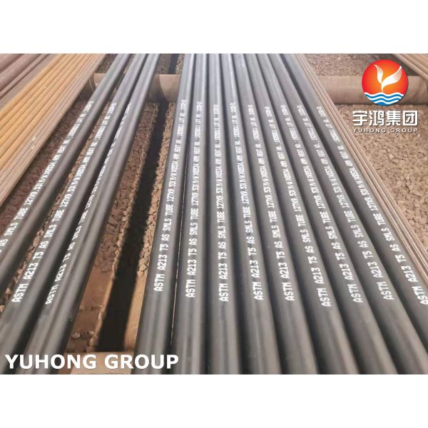 ASTM A213 T5 (UNS K41545) Alloy Steel Seamless Tube For Boiler and Superheater