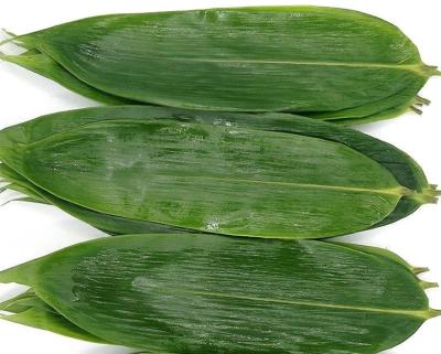 Green Fresh Sushi Rolling Bamboo Leaf 5-11 cm for Rice Dumplings