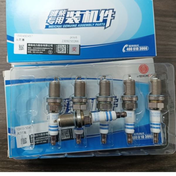 Weichai Engine Parts for Howo & Foton Diesel Trucks Spark Plug 1000450457