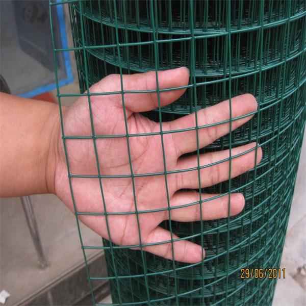 SS304 Stainless Steel Galvanized PVC Welded Wire Mesh with Customizable Mesh for Outdoor Use