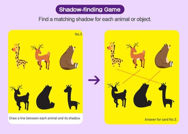 Brain Games Wipe-Clean Early Learning Flash Cards for Toddler Preschool Education Cards Intellectual Toys