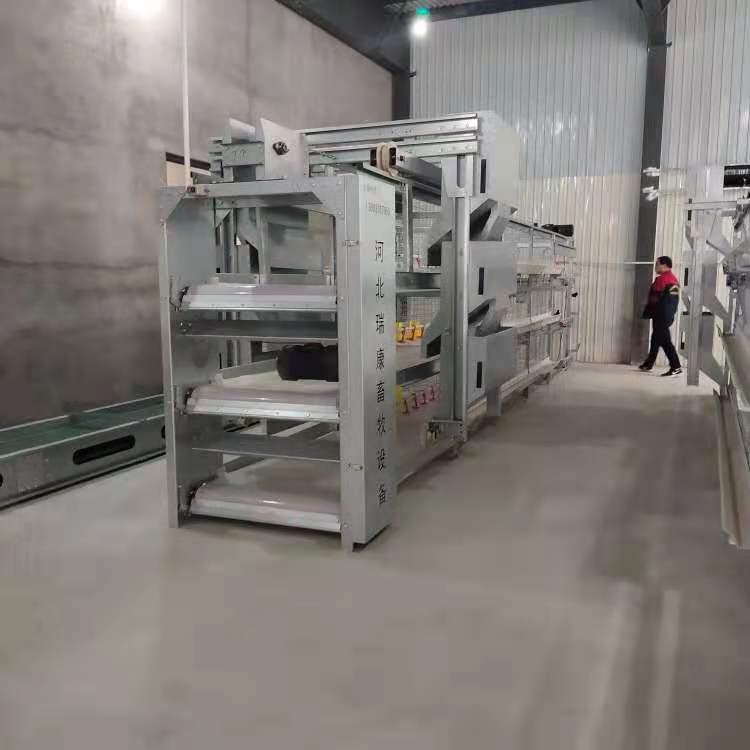 Hot-dip galvanized steel poultry chicken cage with automatic feeding system for 8 hens per cell