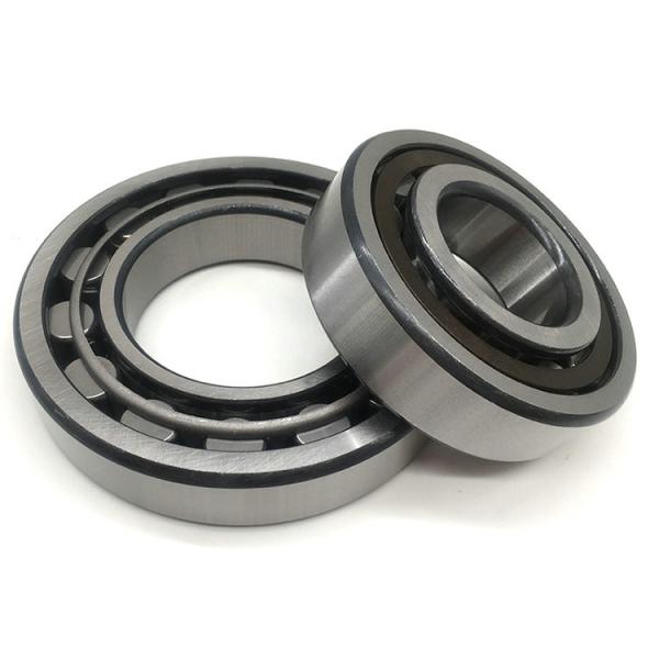 NJ428E NJ428EM Cylindrical Roller Bearing NJ428 NJ428EM/C4 For Vibrating Screeng