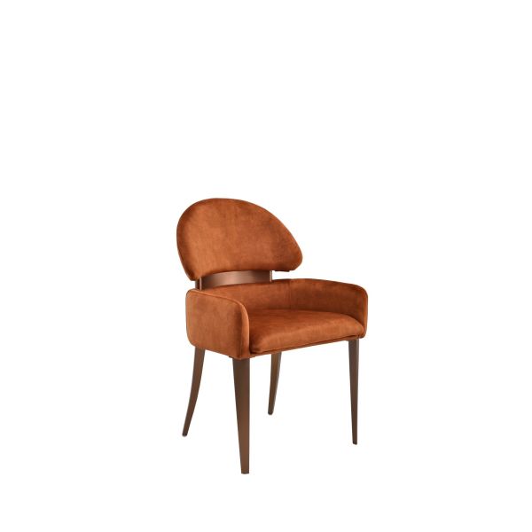 FT254 Modern Dining Chair with Ergonomic Design Comfortable Seating and Durable Frame Ideal for Restaurants and Cafeterias