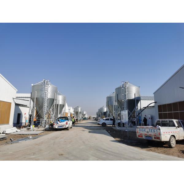 Антикоррозивный оцинкованный полный антоматический птицеводческий завод птицехранилище птицехранилище