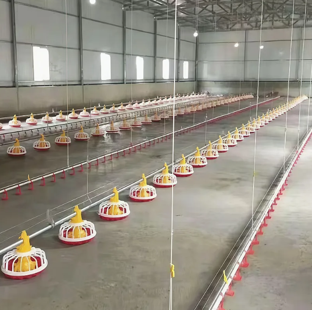 Poultry Farming Equipment Intelligent Feeding System with Low Maintenance and High Efficiency