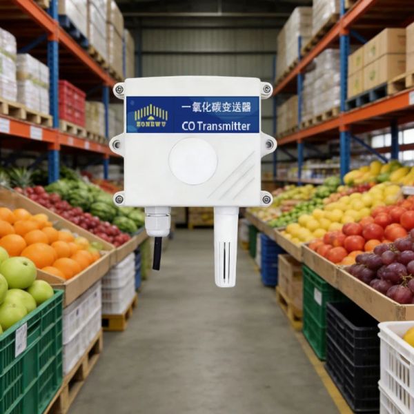 RS485 Carbon Monoxide Detector for Warehouse, Workshop, Greenhouse & Enclosed Space Monitoring