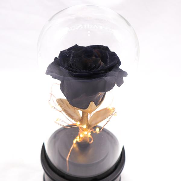 Wedding Gifts Gothic Dark Preserved Flowers In Glass With Bluetooth Speaker