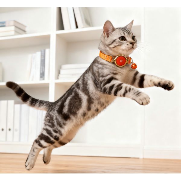 Comfortable Rechargeable Eco-Friendly Waterproof GPS Wireless Dog Collar Electronic Fence Training Nylon Plastic Orange Fashion