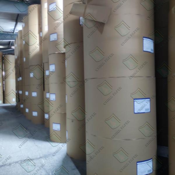 100-200gm C2s / C1s Art Paper Roll 100% Virgin Pulp brilhante para revista / notebook