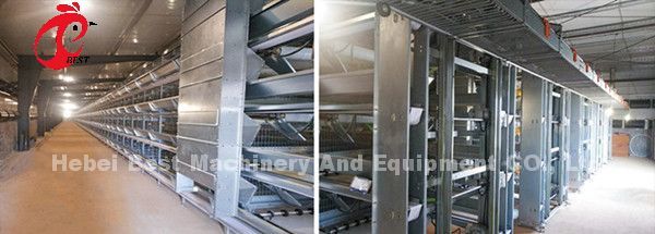 Тип взрослые коммерчески клетки h батареи цыпленка для звезды кладя куриц