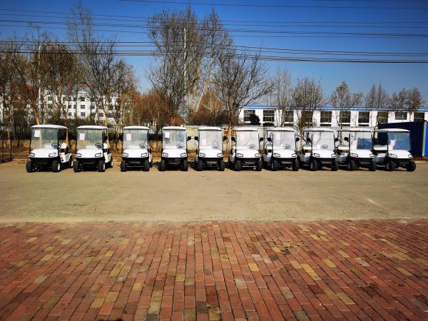 4 Wheel Street Legal Family Electric Off Road Utility Golf Cart 8 Seater With Storage Box