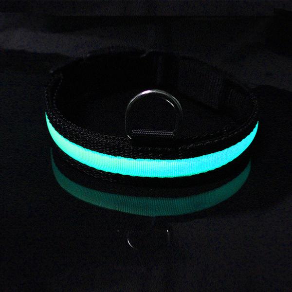 Eco - Friendly LED Dog Collar Rechargeable Three Flash Mode Nylon