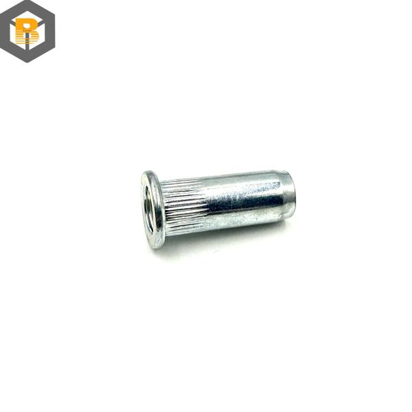 Mini Pack Blind Rivet Nut Threaded Fasteners Spare Part with Polishing Finish BY-0504