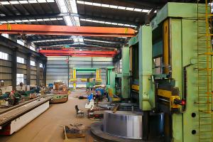 Shandong Lushen Machinery Manufacturing Co., Ltd.