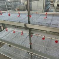 Équipement de élevage de volailles modernes à grande échelle Couche d'œuf automatique Ferme de poules pondeuses Poulets à pile Cages à vendre