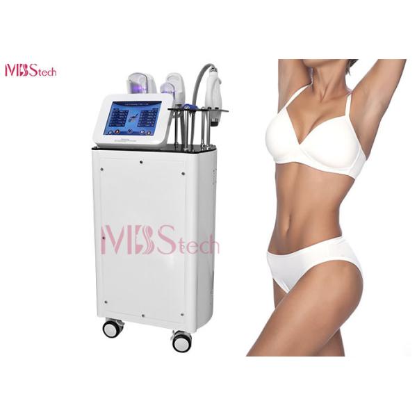 Enlèvement Cryolipolysis de cellulites amincissant la machine