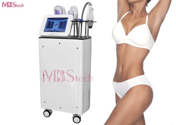 Máquina do emagrecimento de Cryolipolysis da remoção das celulites