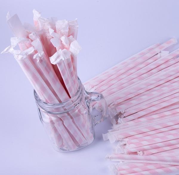 Everyday Season Biodegradable Paper Straws Single Wrapped with Custom Logo Printing