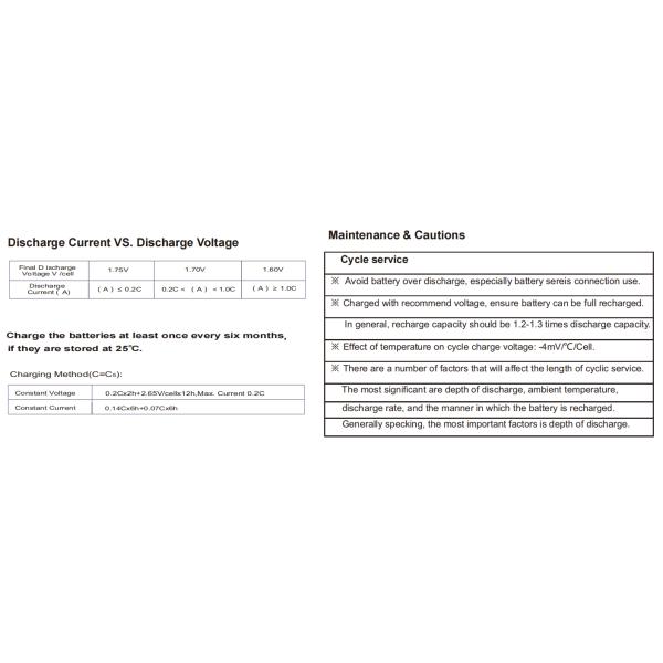 6V Free Maintenance High Quality Electronic Vehicle Battery Lead Acid Battery