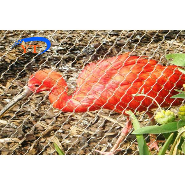 Завязанная сетка нержавеющей стали SUS304 2.0mm для типа Aviary птицы сплетенного Iner